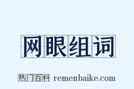 网眼组词是什么意思的图片